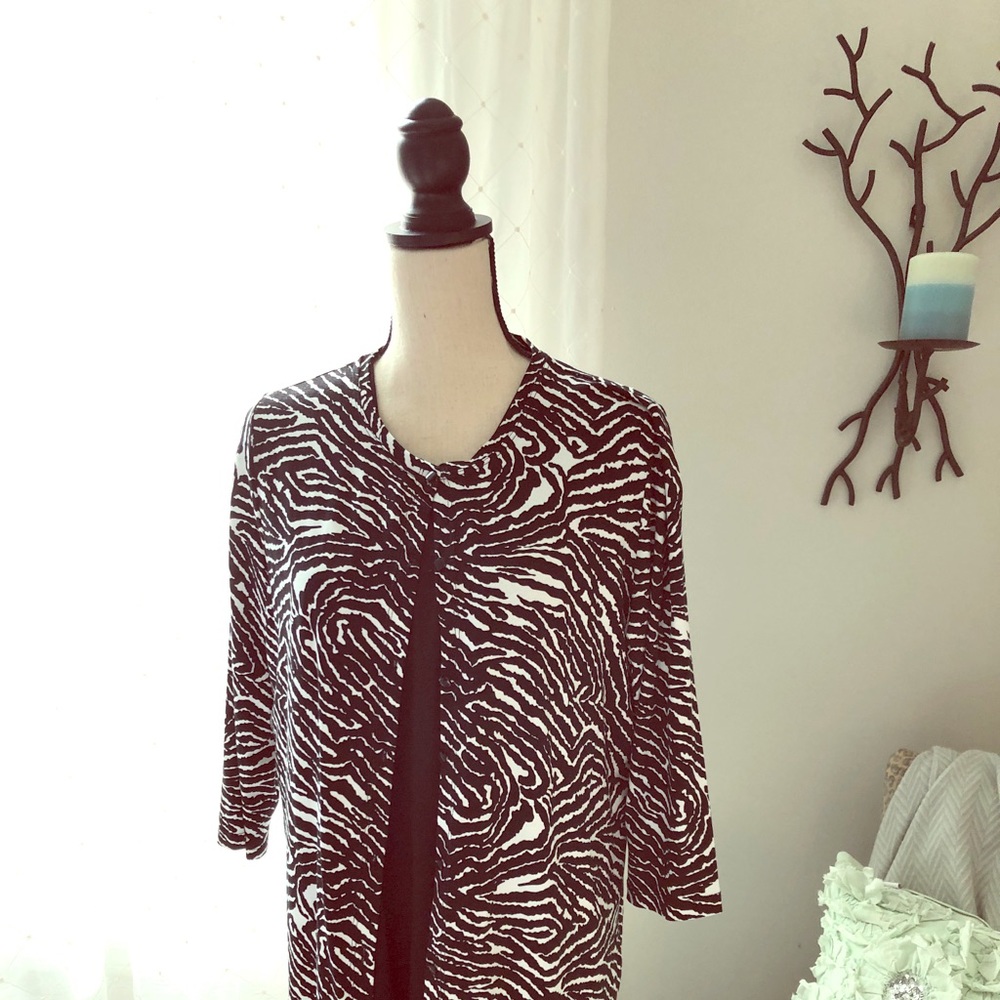 ‼️SALE‼️ ‼️‼️Zebra Print light weight jacket